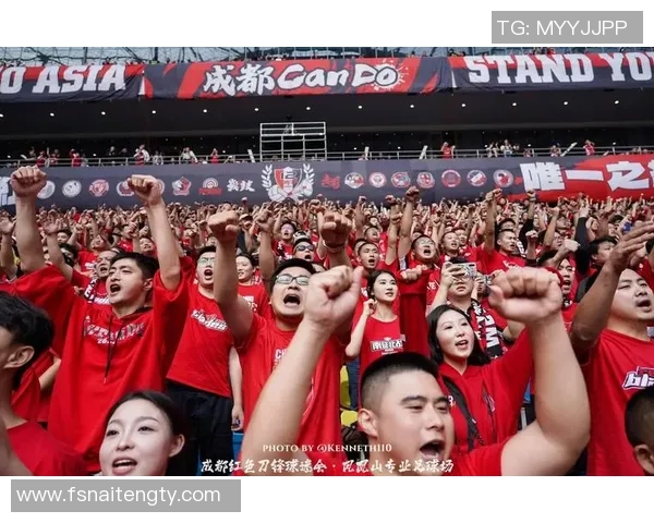 足球星迷齐聚共享绿茵激情共赏偶像风采点燃无限热爱